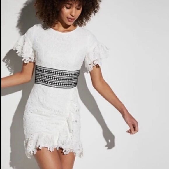 NWT MSRP $149 Bardot Reese Lace A-Line Dress Large - Picture 2 of 11